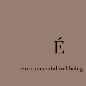 environmental wellbeing SPIRE model