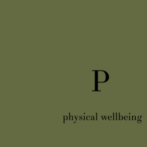 wellbeing SPIRE model physical